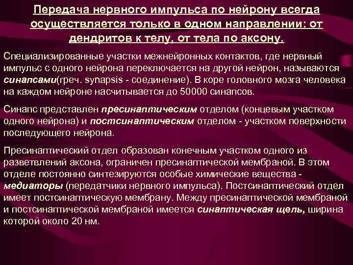 Передача нервного импульса по нейрону всегда осуществляется только в одном направлении: от дендритов к