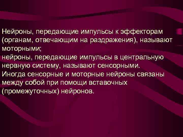 Нейроны, передающие импульсы к эффекторам (органам, отвечающим на раздражения), называют моторными; нейроны, передающие импульсы
