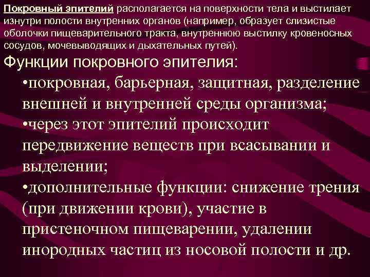 Покровный эпителий располагается на поверхности тела и выстилает изнутри полости внутренних органов (например, образует