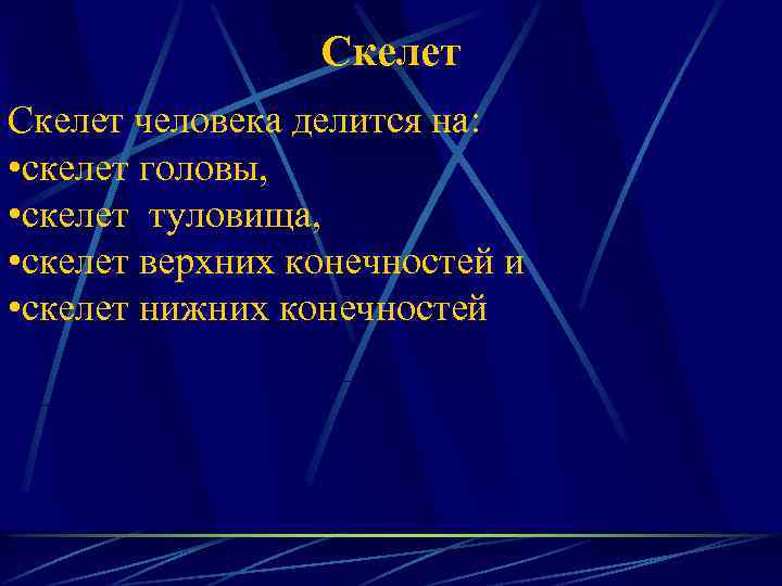 Скелет человека делится на: • скелет головы, • скелет туловища, • скелет верхних конечностей