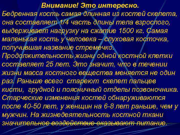 Внимание! Это интересно. Бедренная кость самая длинная из костей скелета, она составляет 1/4 часть