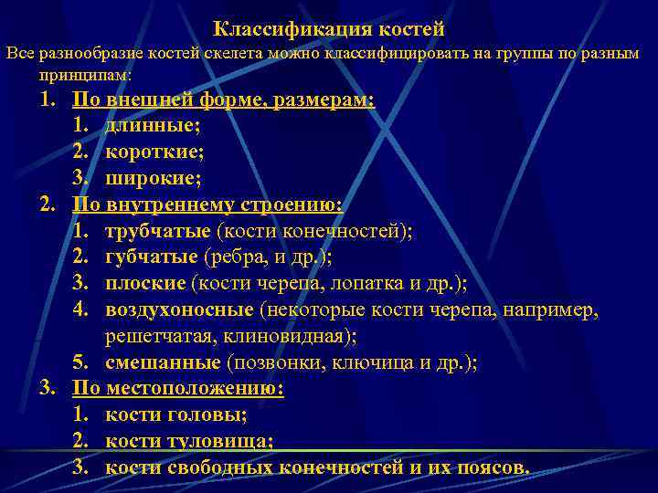 Классификация костей Все разнообразие костей скелета можно классифицировать на группы по разным принципам: 1.