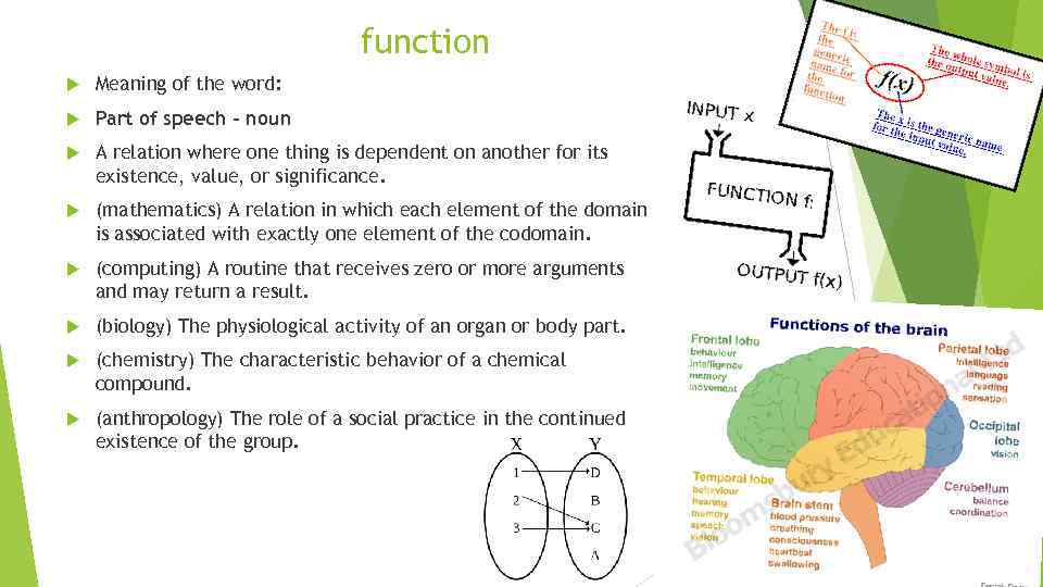 function Meaning of the word: Part of speech – noun A relation where one