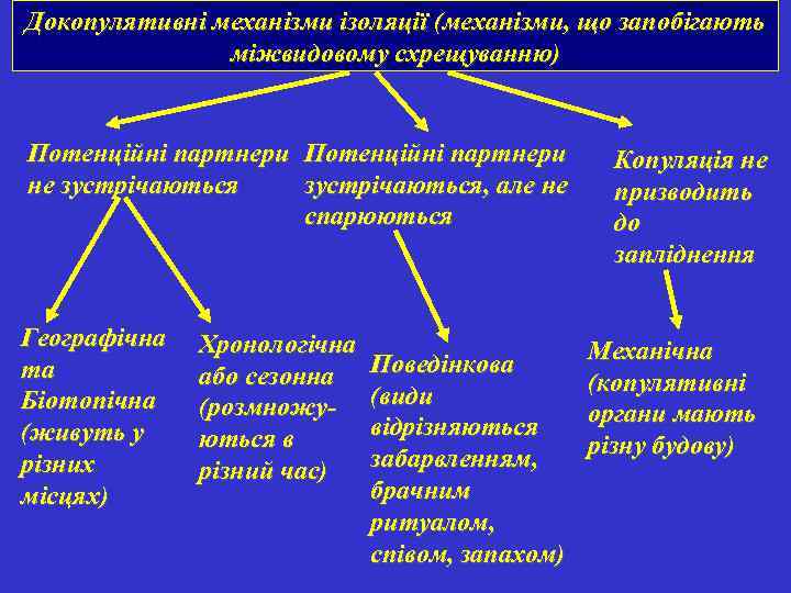 Докопулятивні механізми ізоляції (механізми, що запобігають міжвидовому схрещуванню) Потенційні партнери не зустрічаються, але не