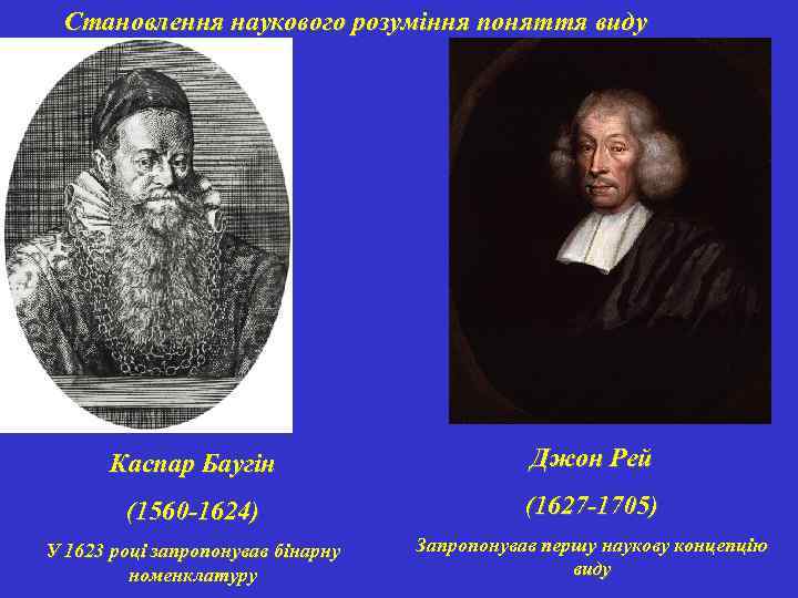 Становлення наукового розуміння поняття виду Каспар Баугін Джон Рей (1560 -1624) (1627 -1705) У
