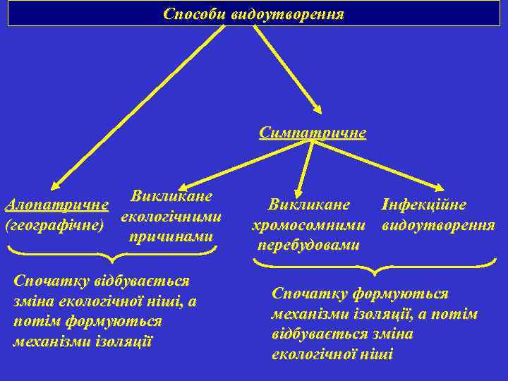 Способи видоутворення Симпатричне Алопатричне Викликане (географічне) екологічними причинами Спочатку відбувається зміна екологічної ніші, а