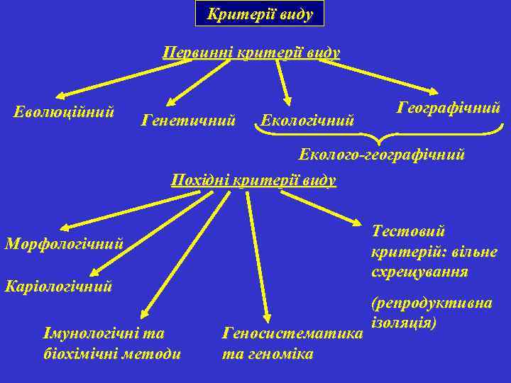 Критерії виду Первинні критерії виду Еволюційний Генетичний Екологічний Географічний Еколого-географічний Похідні критерії виду Тестовий