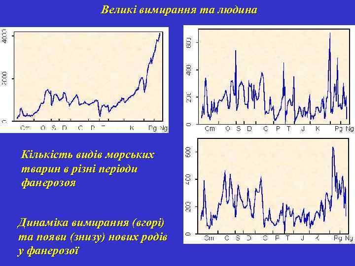 Великі вимирання та людина Кількість видів морських тварин в різні періоди фанерозоя Динаміка вимирання