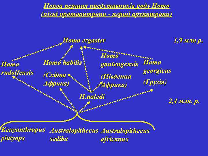 Поява перших представників роду Homo (пізні протоантропи - перші архантропи) 1, 9 млн р.