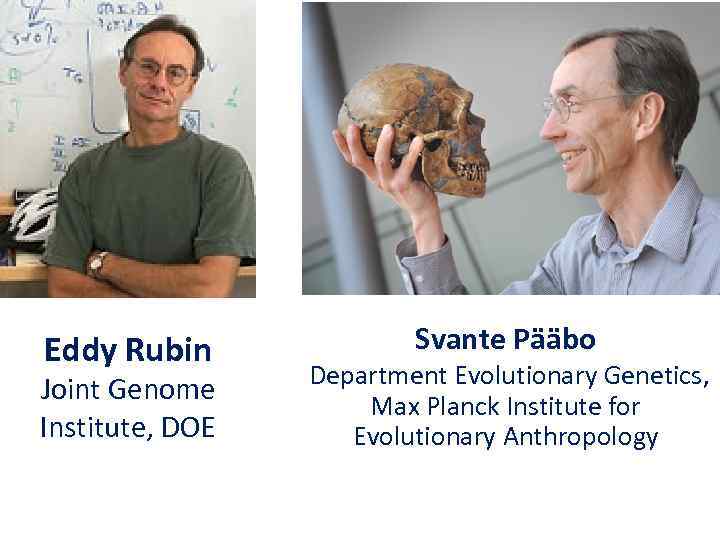 Eddy Rubin Joint Genome Institute, DOE Svante Pääbo Department Evolutionary Genetics, Max Planck Institute