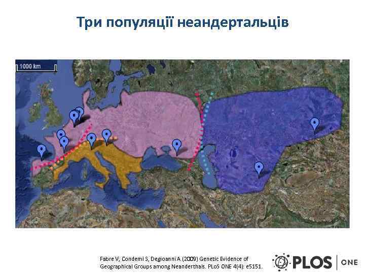 Три популяції неандертальців Fabre V, Condemi S, Degioanni A (2009) Genetic Evidence of Geographical