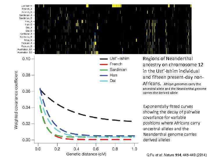 Regions of Neanderthal ancestry on chromosome 12 in the Ust’-Ishim individual and fifteen present-day