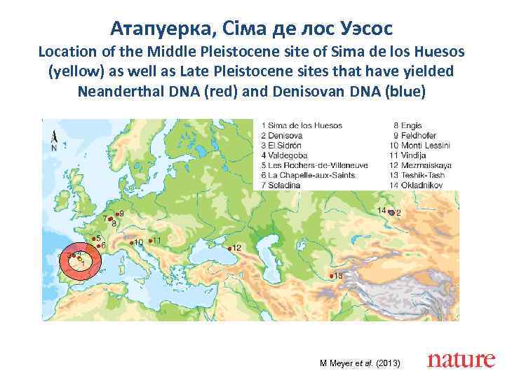 Атапуерка, Сіма де лос Уэсос Location of the Middle Pleistocene site of Sima de