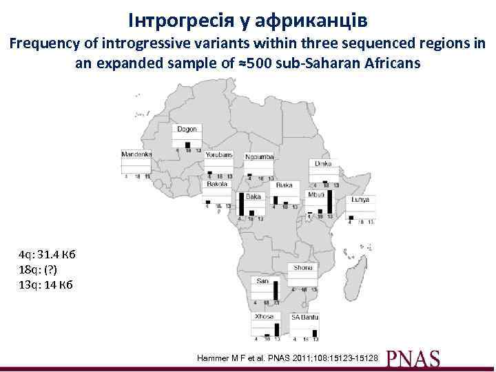 Інтрогресія у африканців Frequency of introgressive variants within three sequenced regions in an expanded