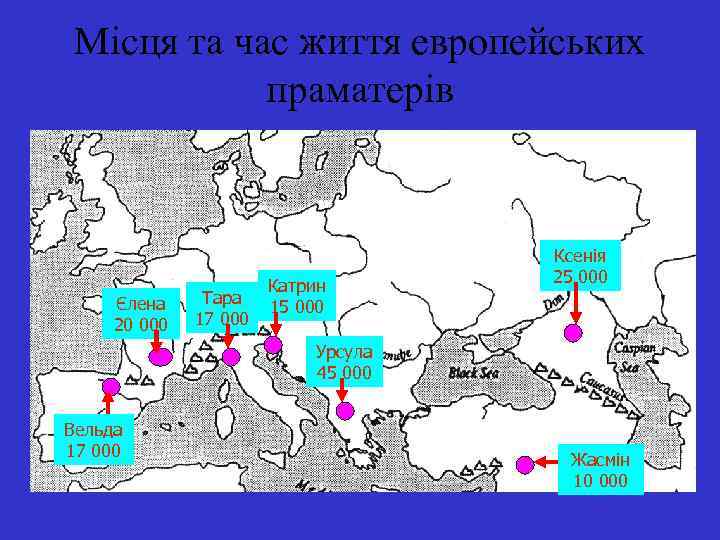 Місця та час життя европейських праматерів Єлена 20 000 Тара 17 000 Катрин 15