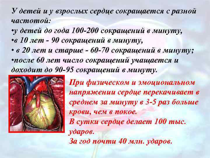 У детей и у взрослых сердце сокращается с разной частотой: • у детей до