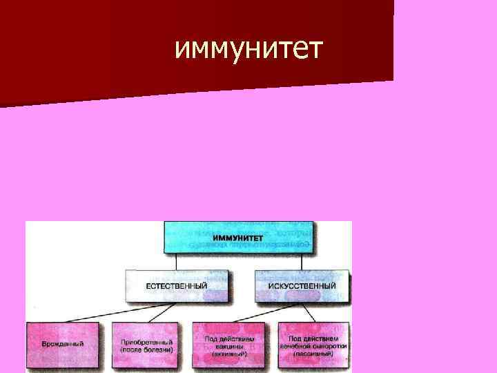 иммунитет 