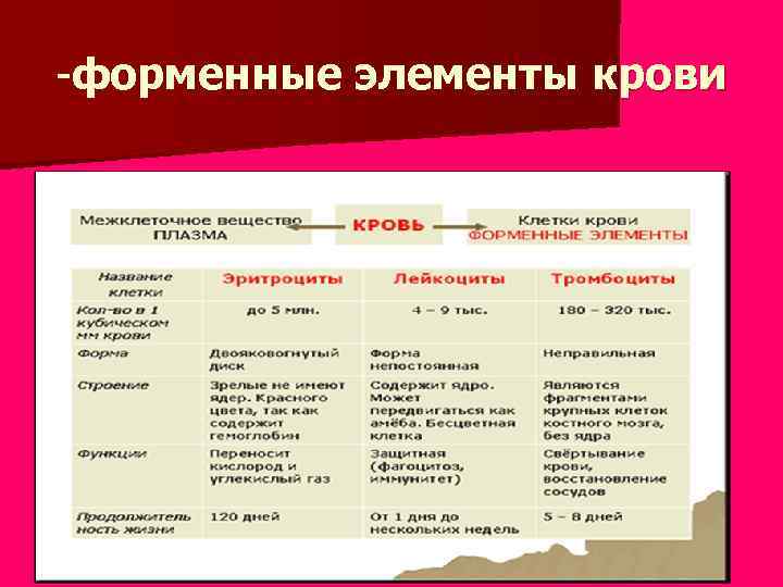 -форменные элементы крови 
