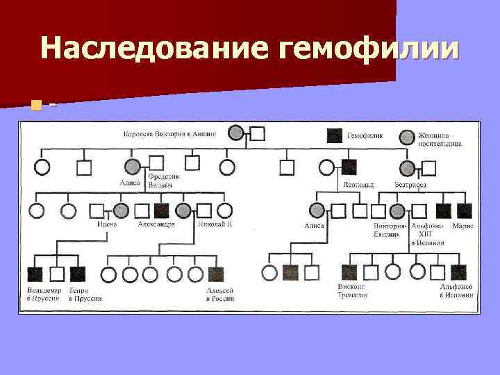 Наследование гемофилии n- 