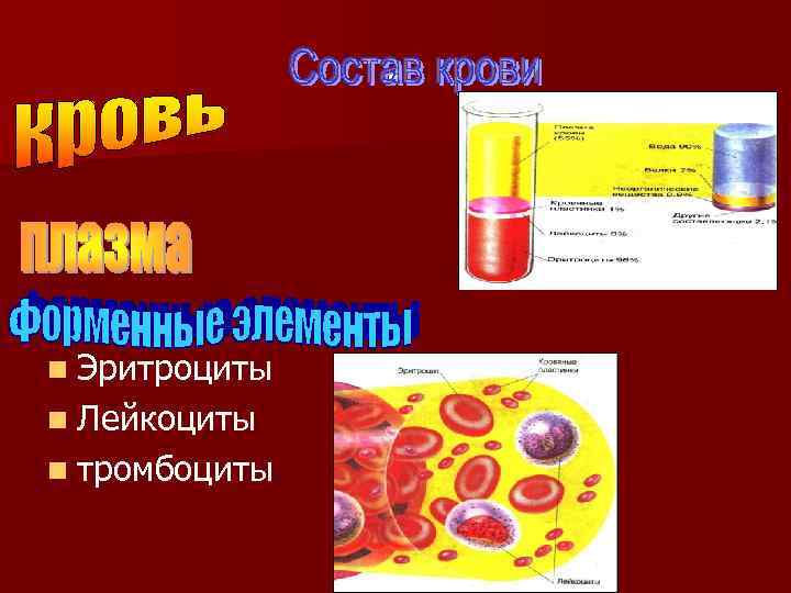 - n Эритроциты n Лейкоциты n тромбоциты 