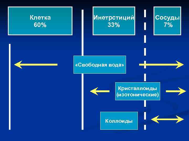 Клетка 60% Инетрстиций 33% Сосуды 7% «Свободная вода» Кристаллоиды (изотонические) Коллоиды 