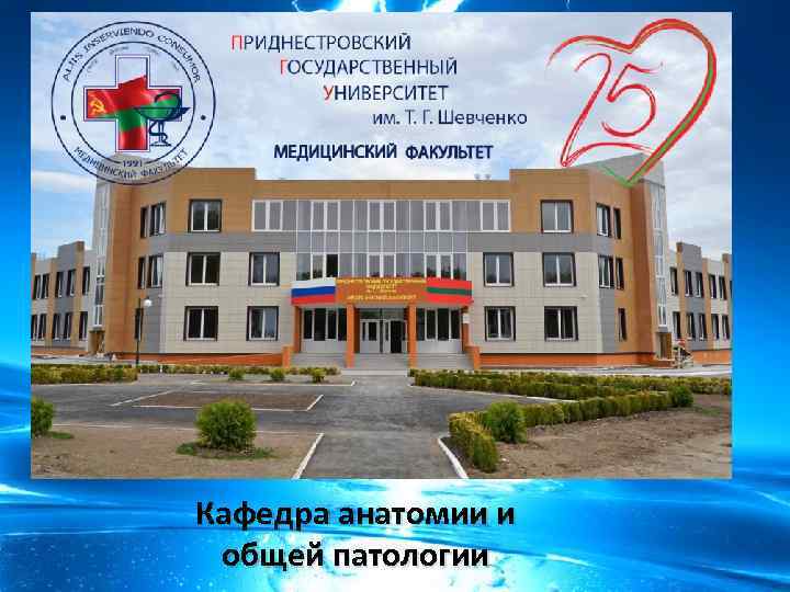 Кафедра анатомии и общей патологии 
