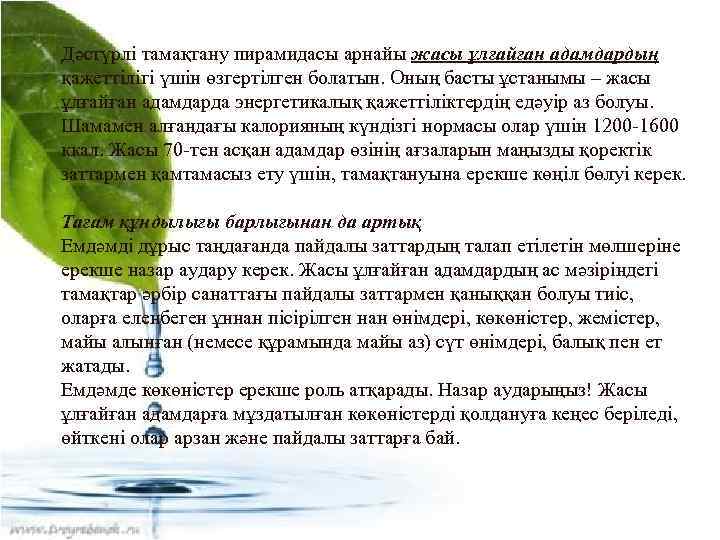 Дәстүрлі тамақтану пирамидасы арнайы жасы ұлғайған адамдардың қажеттілігі үшін өзгертілген болатын. Оның басты ұстанымы