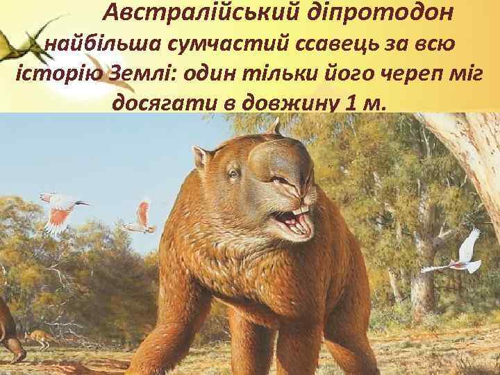  Австралійський діпротодон найбільша сумчастий ссавець за всю історію Землі: один тільки його череп