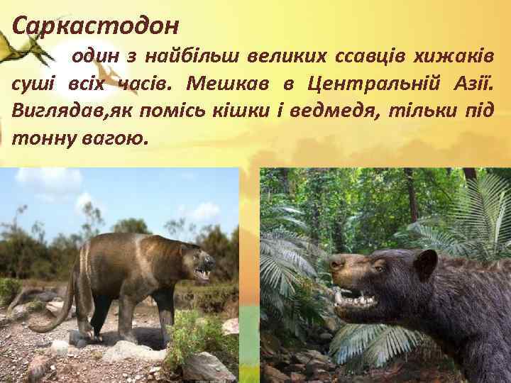 Саркастодон один з найбільш великих ссавців хижаків суші всіх часів. Мешкав в Центральній Азії.