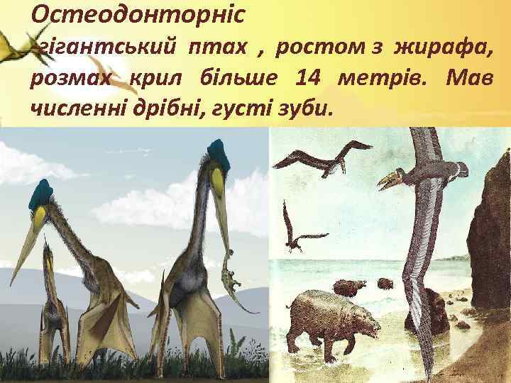 Остеодонторніс -гігантський птах , ростом з жирафа, розмах крил більше 14 метрів. Мав численні