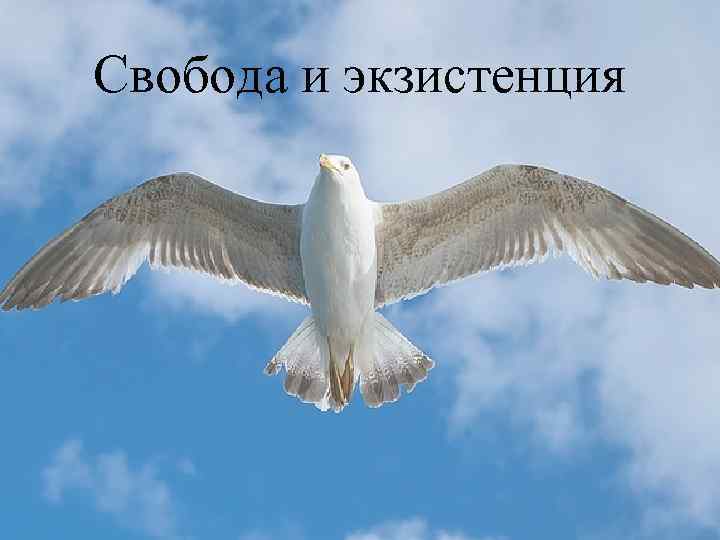 Свобода и экзистенция 