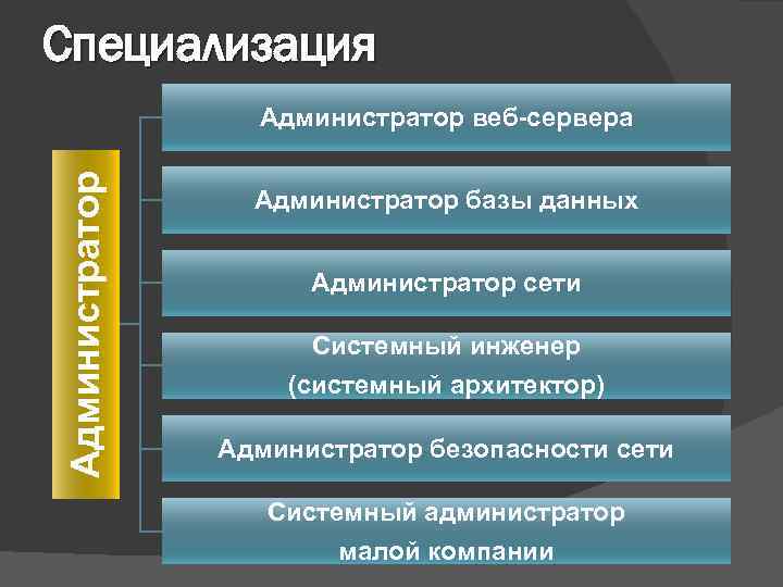 Специализация Администратор веб-сервера Администратор базы данных Администратор сети Системный инженер (системный архитектор) Администратор безопасности