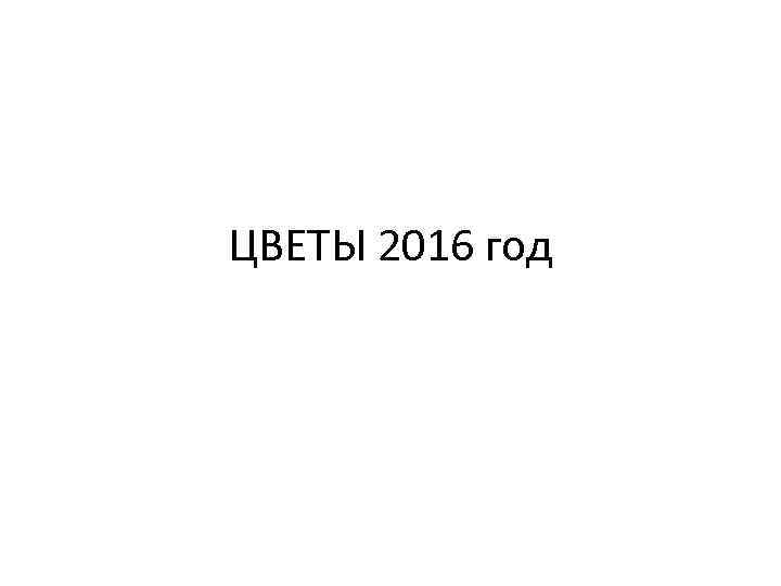 ЦВЕТЫ 2016 год 