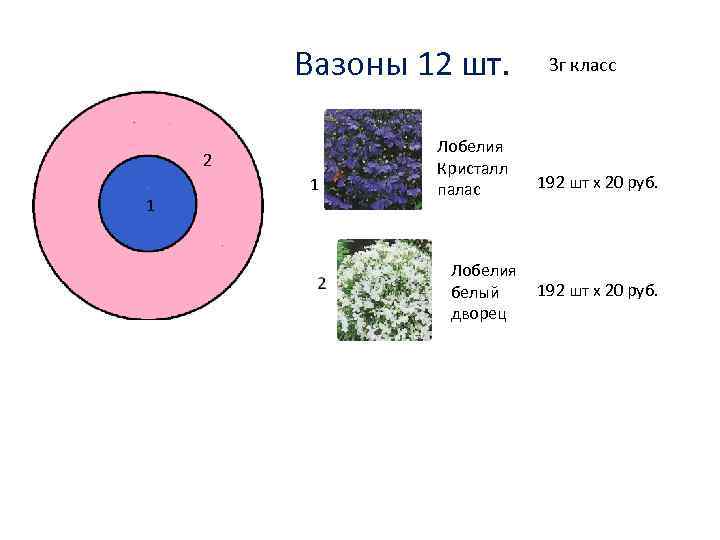 Вазоны 12 шт. 2 1 1 Лобелия Кристалл палас Лобелия белый дворец 3 г