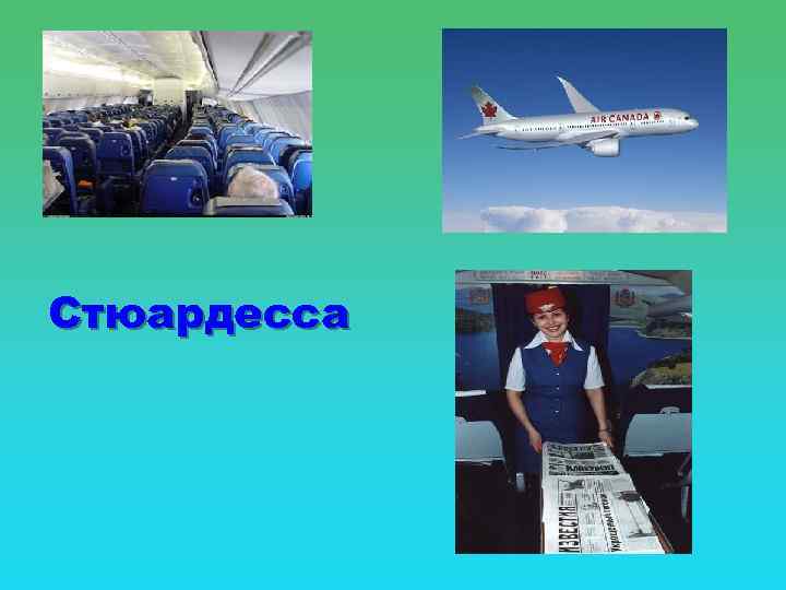 Стюардесса 