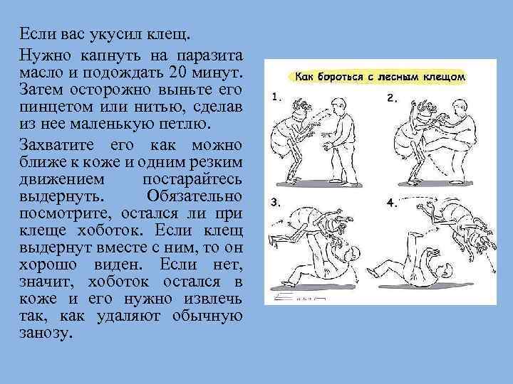 Если вас укусил клещ. Нужно капнуть на паразита масло и подождать 20 минут. Затем