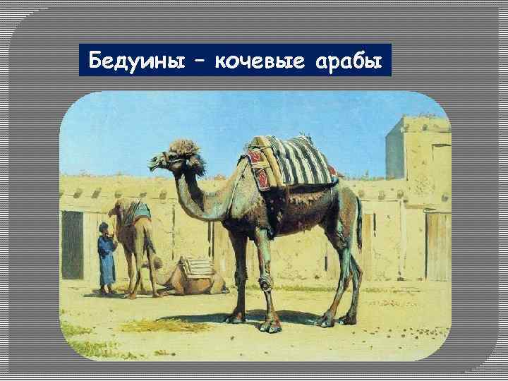 Бедуины – кочевые арабы 