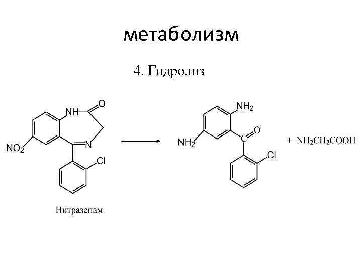 метаболизм 4. Гидролиз 