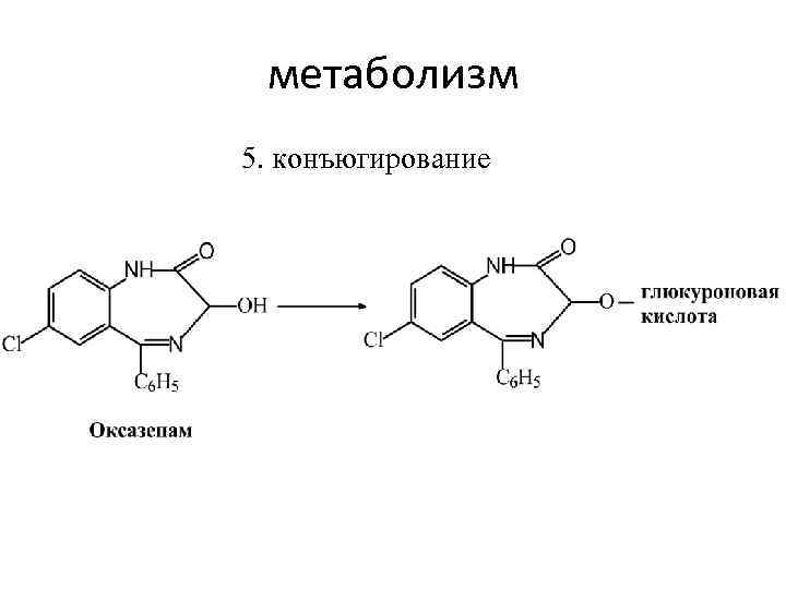 метаболизм 5. конъюгирование 