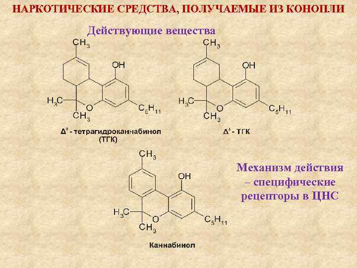 НАРКОТИЧЕСКИЕ СРЕДСТВА, ПОЛУЧАЕМЫЕ ИЗ КОНОПЛИ Действующие вещества Механизм действия – специфические рецепторы в ЦНС