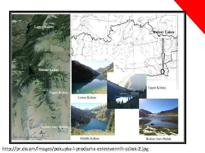 http: //pr. do. am/images/pokupka-i-prodazha-estestvennih-ssilok-2. jpg 