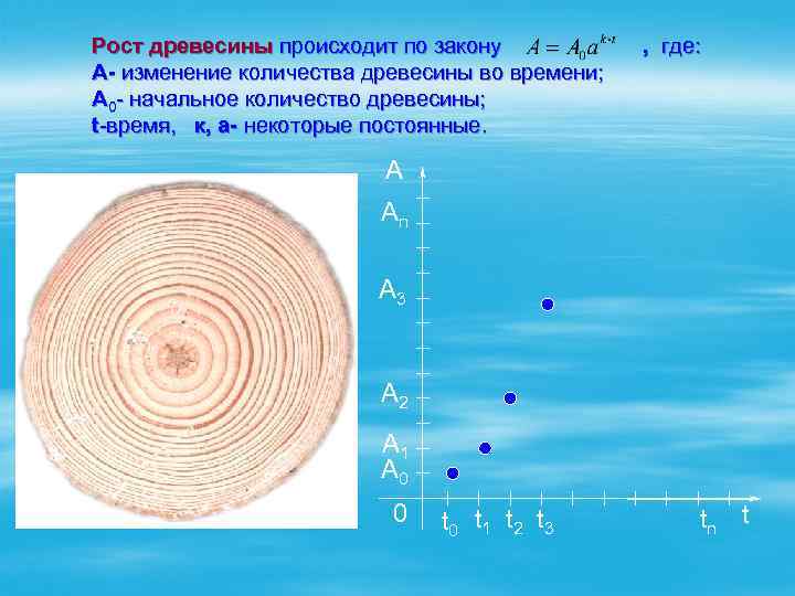 Рост древесины происходит по закону A- изменение количества древесины во времени; A 0