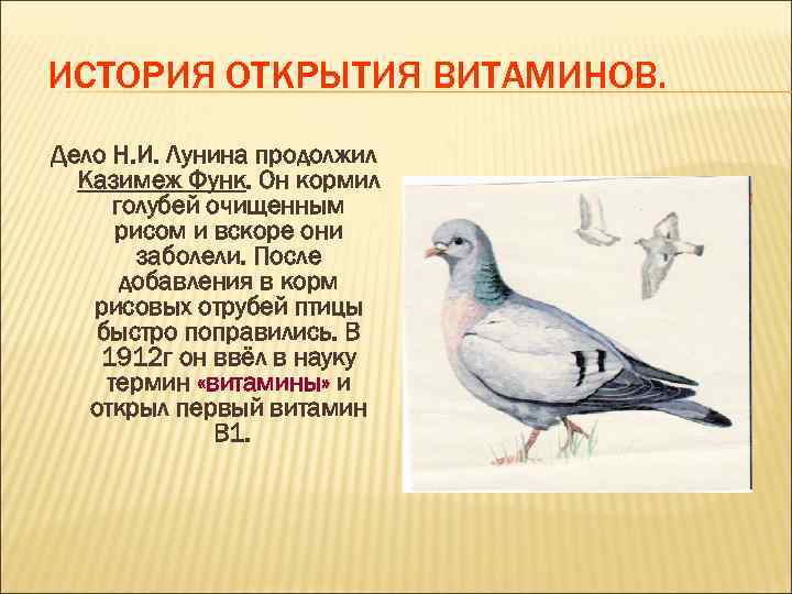 ИСТОРИЯ ОТКРЫТИЯ ВИТАМИНОВ. Дело Н. И. Лунина продолжил Казимеж Функ. Он кормил голубей очищенным