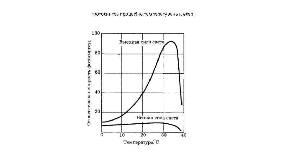 Фотосинтез процесіне температураның әсері 