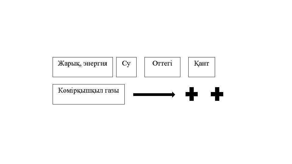 Жарық, энергия Көмірқышқыл газы Су Оттегі Қант 