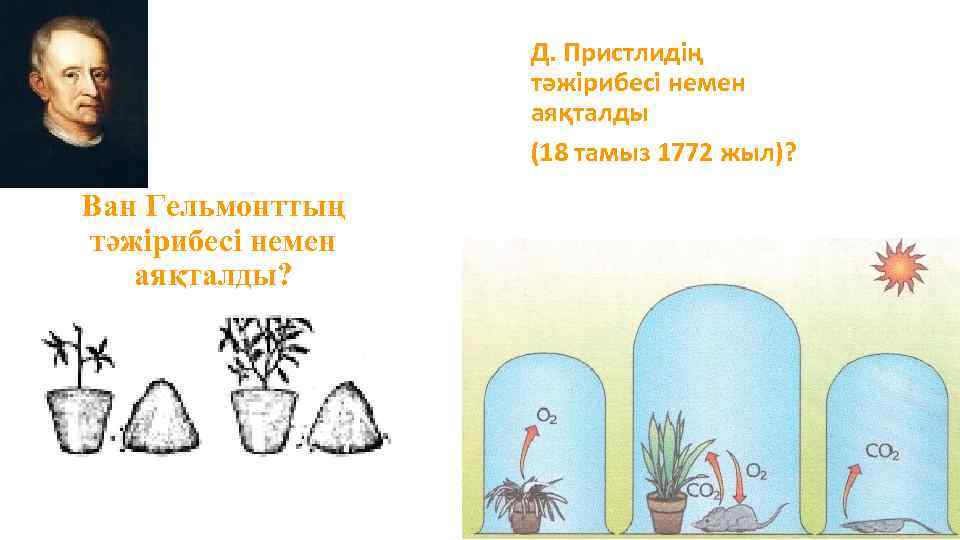 Д. Пристлидің тәжірибесі немен аяқталды (18 тамыз 1772 жыл)? Ван Гельмонттың тәжірибесі немен аяқталды?