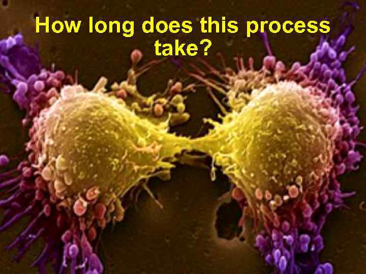 How long does this process take? 