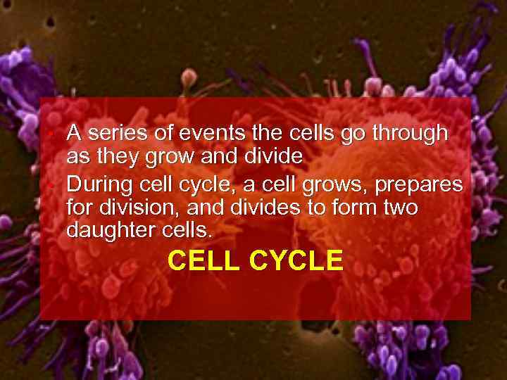 A series of events the cells go through as they grow and divide •