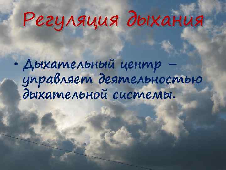 Регуляция дыхания • Дыхательный центр – управляет деятельностью дыхательной системы. 