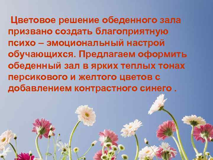 Цветовое решение обеденного зала призвано создать благоприятную психо – эмоциональный настрой обучающихся. Предлагаем оформить